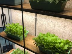 自助取餐区-番食园鲜食火锅(高新店)