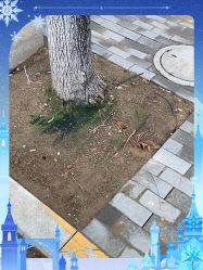 点击看大图 -莫莉幻想儿童乐园(天津熙悦汇店)