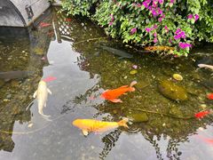 -九尺赵老四鲜鹅肠火锅