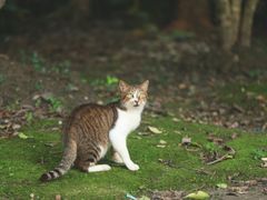 -苏州河梦清园环保主题公园