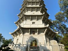 -深圳国际园林花卉博览园