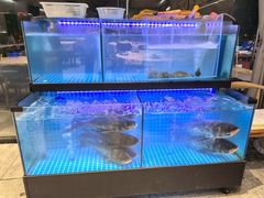 -老班长·小龙虾·鲜货烧烤大排档(金街美地店)