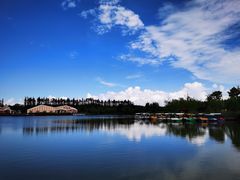 -上海长兴岛郊野公园