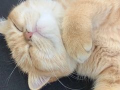 -四川大学(华西校区)