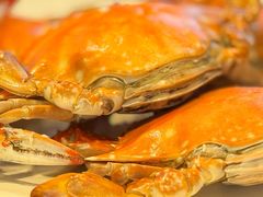 -赶海部落海鲜城(海阳路店)