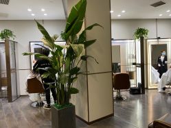 -崇尚GAVIN STYLE臻选