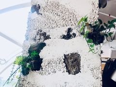 -农畉LONFOOD(福田星河COCOPark店)