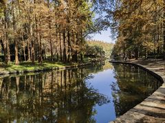 -上海共青森林公园