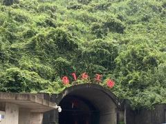 -816工程景区