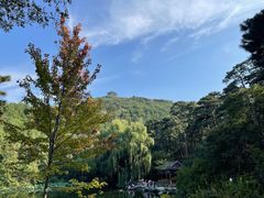 -香山公园