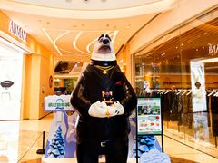 -福田卓悦INTOWN购物中心