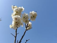 -无锡梅园公园