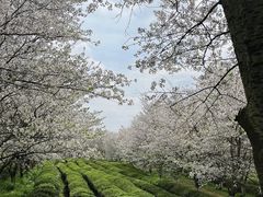 -凤凰沟景区