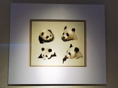 -深圳博物馆(古代艺术馆)