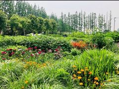 -前小桔亲子创意农场·草莓采摘·露营烧烤