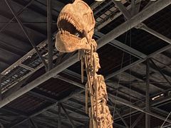 -自贡恐龙博物馆