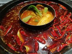 -蜀大侠火锅(建设路第五大道店)