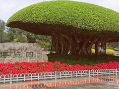 -南宁南湖公园