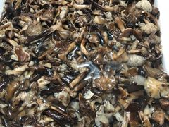 -庆岭迎宾园正宗活鱼馆