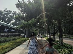 -四海蒸鲜蒸汽海鲜自助(北戴河店)