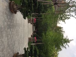 iphone_upload_pic-天津丽思卡尔顿酒店·宴会厅
