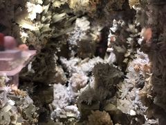 -湖南省地质博物馆