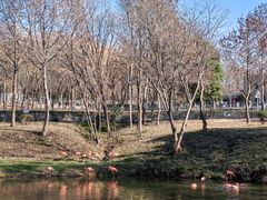 -合肥野生动物园