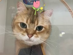 -萌兽医馆·眼科·异宠专科(三里屯店)