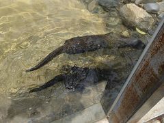 -昆明动物园