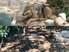 -南京维景国际大酒店(南京博物院店)