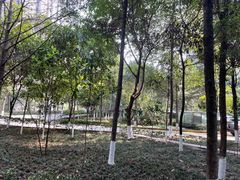 -龙头寺公园