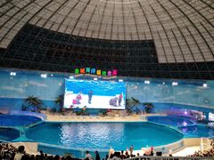 -泉城欧乐堡海洋极地世界