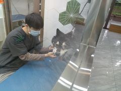 -瑞鹏宠物医院·普外科·影像科·皮肤科(城市山谷分院)