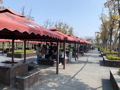 -春花秋色城市公园