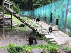 -宁波野生动物园