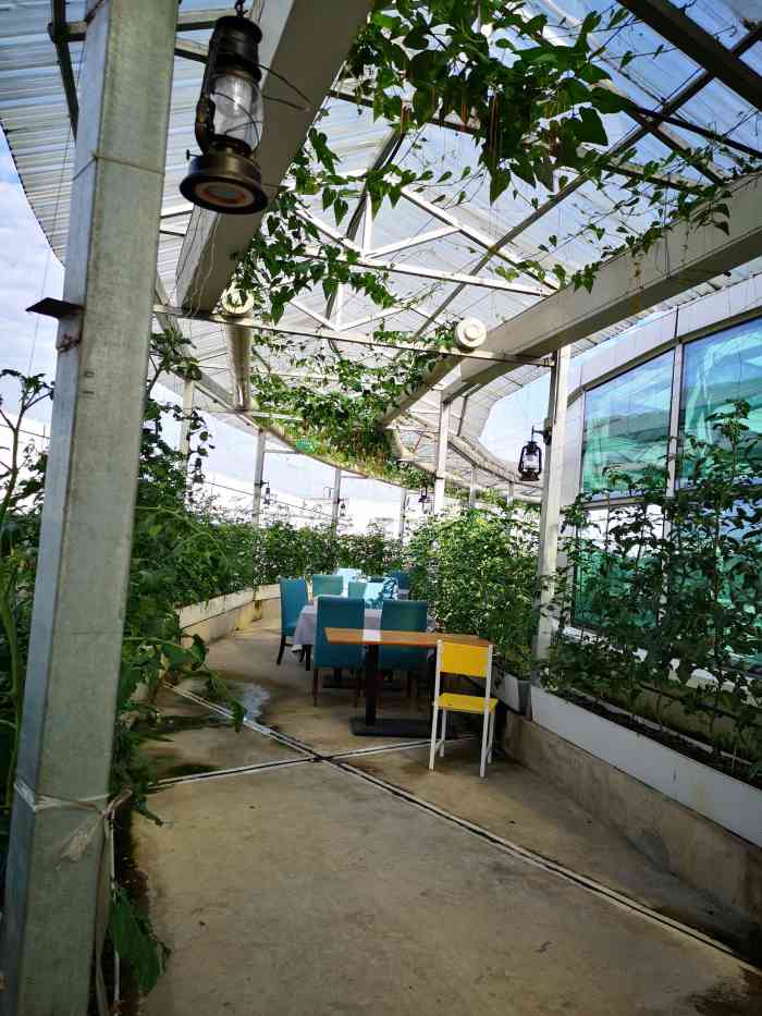 太空梦幻农场(大渡口万达广场店)-"太空梦幻农场有小孩的更要去,环境