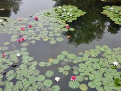 -尚贤河湿地