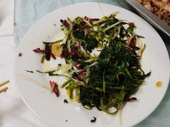 -庆岭迎宾园正宗活鱼馆