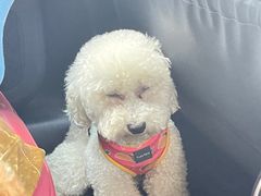 -酷宠动物医院(天通西苑店)