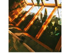 -御池园(顾村公园店)