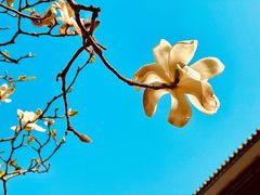 -济南野生动物世界