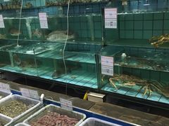 水产区-海岛渔村大酒店(云霄路店)