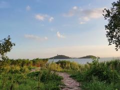 -上海市保健医疗中心