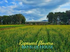 -光明小镇欢乐田园