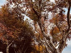 -北山街历史文化街区