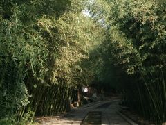 -竹泉村旅游度假区