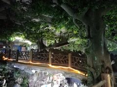 -苏州海洋馆