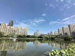 -木塔寺遗址生态公园