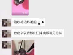 -小呆的宠物店·宠物售卖·宠物寄养(城西店)