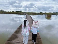 -盐城丹顶鹤湿地生态旅游区
